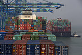 Containers and container ships, Port Kelang, Malaysia.