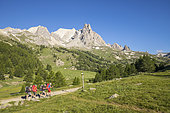 Vallée de La Clarée, hikers on the GR country of the Tour of Mont Thabor, in the background the massif of Cerces (3093m) and the peaks of the Main of Crépin (2942m), Névache, Hautes-Alpes, France