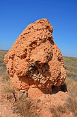 Termite mound (Isoptera sp), Karijini National Park, WA, Australia
