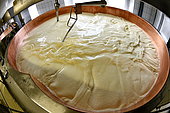 Comté cheese making, milk tank, Cheese factory, Damprichard, Doubs, France