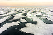Ice breakup, where a polar bear (Ursus maritimus) passed recently ... Canada