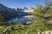 A seated hiker contemplates Lake Allos (2226 m), in the background the Tours du Lac, Haut-Verdon, Mercantour National Park, Alps, France