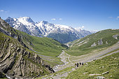 Hikers at the Goléon lake pass, valley of the hamlet of Valfroide in the Oisans massif with in the background the Meije (3983m) and the Rake (3809m), Écrins National Park, Hautes-Alpes, France