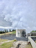 Hveragerði geothermal area, offers tourists who visit the site to cook eggs in the boiling water of the river, Iceland