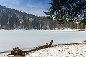 Lake Blanchemer, located 984 meters in the town of La Bresse in the Vosges, France