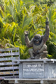 Tanjung Puting National Park, Sekonyer river, Sekonyer village, entrance of the National Park with an orang utan statue, Borneo, Indonesia