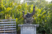 Tanjung Puting National Park, Sekonyer river, Sekonyer village, entrance of the National Park with an orang utan statue, Borneo, Indonesia