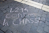 Inscription on the ground and chalk "L214" during an anti-hunting event, Paris, France