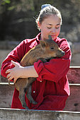 Girl carrying a young wild boar, France