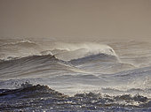 Rough seas off North Norfolk in winter