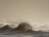 Rough seas off North Norfolk in winter