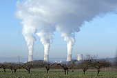 Cattenom nuclear power station in winter in good weather with blue sky and plumes of steam from 3 cooling towers, from the surrounding countryside with an orchard in foreground, Moselle, Lorraine, France