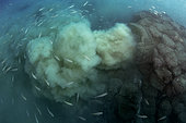 Submarine emissary. In spite of the visual impact that it entails and the fact that the negative effects on the environmental impact can always be reduced, in this image it is a controlled discharge of treated water.