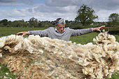 farmer checking the sheep fleece, England