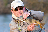 Trout fishing on the Loue river, Presentation of a wild trout (Salmo trutta fario), Franche-Comté, France