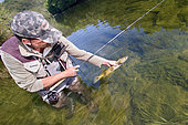 Fly fishing on the Loue river, Presentation of a wild trout (Salmo trutta fario), Franche-Comté, France