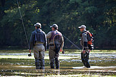 Fly fishing on the Loue river, Franche-Comté, France