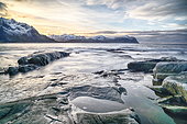 Shore of Lofoten Islands, Nordland, Norway