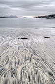 Shore of Lofoten Islands, Nordland, Norway
