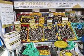 Stall of oysters on the market of Cancale, Brittany, France