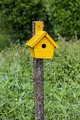 Yellow bird house in a spring garden, Moselle, France