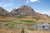 Massive bare granitic and rice fields of Andringitra National Park of 31160 ha, South Madagascar