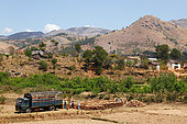 Deforestation in Madagascar, storage along the national road 7, 80% of the forest has disappeared, Madagascar center