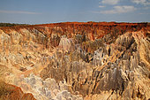 Ankarafantsika NP, large lavaka, severe erosion of laterite and soft rocks due to deforestation, Northwest Madagascar