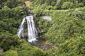 Mokau Falls, rainforest waterfall, Te Urewera National Park, North Island, New Zealand, Oceania