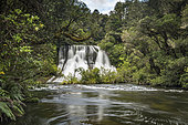 Aniwaniwa Falls, Te Urewera National Park, North Island, New Zealand