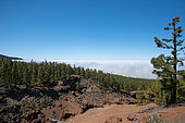 Above the clouds, Road of the Pico del Teide, Tenerife, Canary Islands, Spain