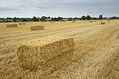Straw bale in a field, England