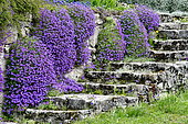 Staircase and flowered stone wall at Glay, Doubs, France