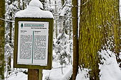 Information board on remarkable trees in winter, Doubs valley, Goumois, Doubs, France, on the Swiss border