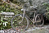 Old abandoned bicycle in nature, Haut Doubs, France