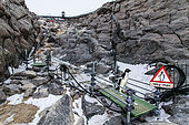 An Adélie penguin (Pygoscelis adeliae) crosses one of the 3 systems of identification and automatic weighing (mass tracker) of the ANTAVIA program, in Dumont d'Urville. Adélie Land, Antarctica