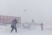 "White-out" snowstorm at the Antarctic Dumont d'Urville base, Adélie Land, Antarctica