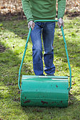 Homme passant le rouleau à gazon en fin d'hiver. Le poids du rouleau plaque l'herbe contre le sol. Cela rend le gazon plus dense, plus fourni.