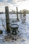 Bucket of food set up by hunters to feed game in winter, Pas de Calais, France