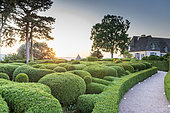 The gardens of Marqueyssac, Vézac, Dordogne, France