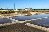 Salt marsh, Noirmoutier Island, Vendée, France