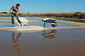 Salt marsh, salt worker, Noirmoutier Island, Vendée, France