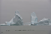 Ark collapsed in an iceberg in Scoresbysund, North East Greenland