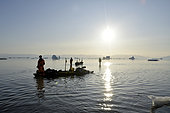 Kayakers pulling their kayaks on sandy shoals, in Scoresbysund, North East Greenland