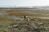 Establishment of a bivouac on the edge of Scoresbysund, North East Greenland