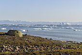 Bivouac in Jameson's land on the edge of Scoresbysund, North East Greenland