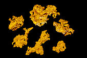 Gold nuggets, Western Austaralia, Australia FROM THE PROJECT: METAL MAGIC: An Inordinate Fondness For Metals; The Metals That We Need to Run Our Civilization and the Minerals That We Get Them From