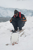 A tourist with a gentoo penguin (Pygoscelis papua), Neko Harbour, Antarctica.