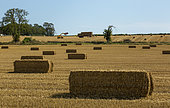 Straw bale been collected in the British countryside