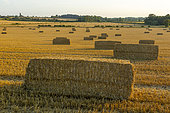 Straw bale in the British countryside